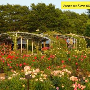Parque das Rosas de Kani – Gifu