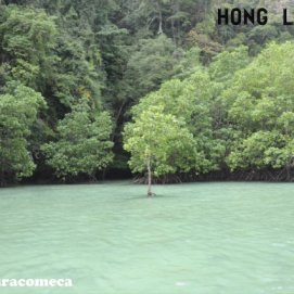 hong island verde