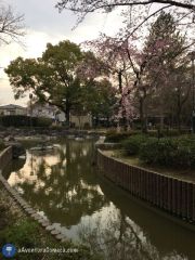 parque nakamura nagoya