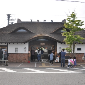 Trem Temático no Japão: Tama, Ichigo e Omoden
